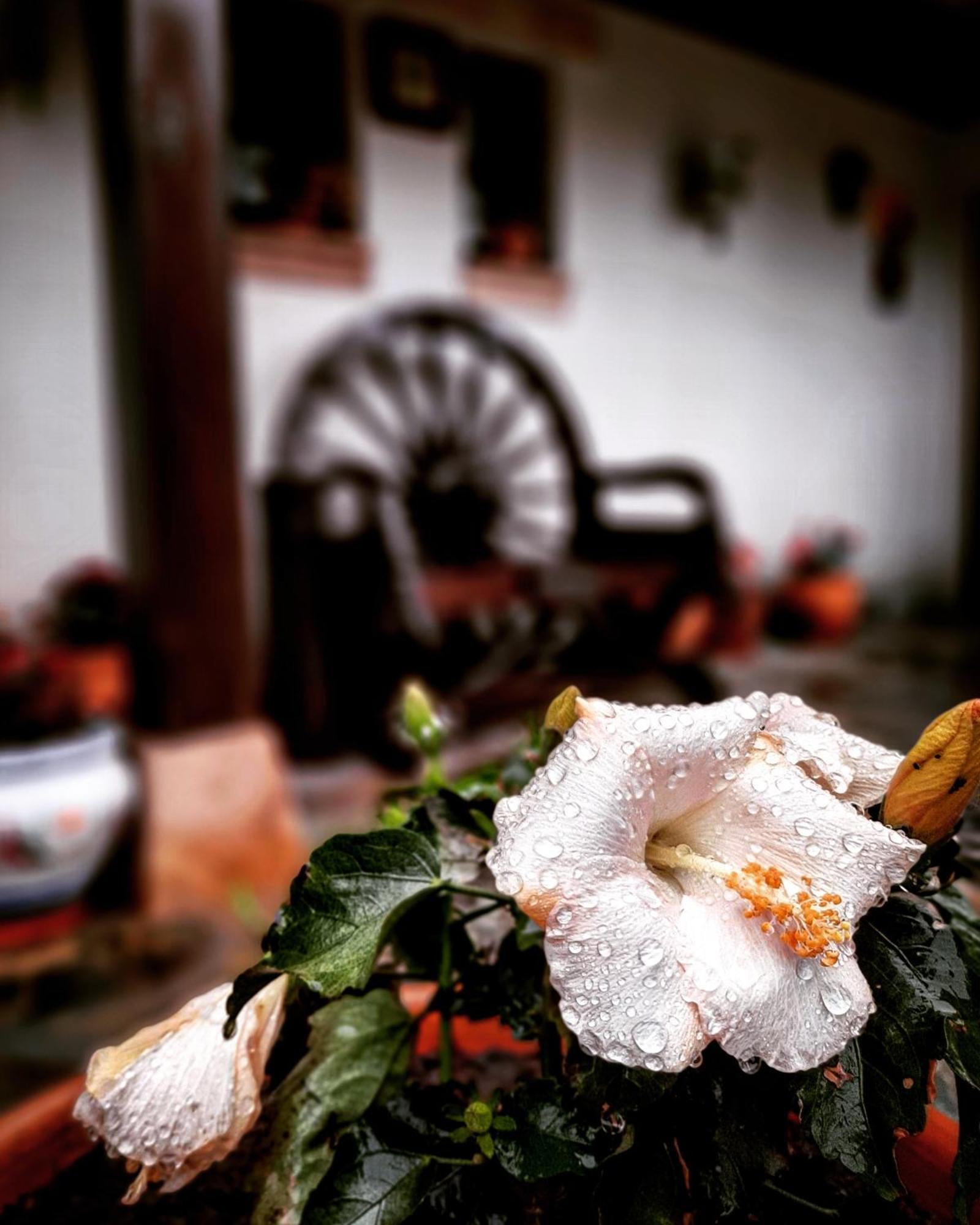 Posada Marina Suances Dış mekan fotoğraf